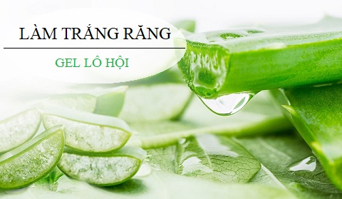 Cách làm trắng răng tự nhiên với gel lô hội. 